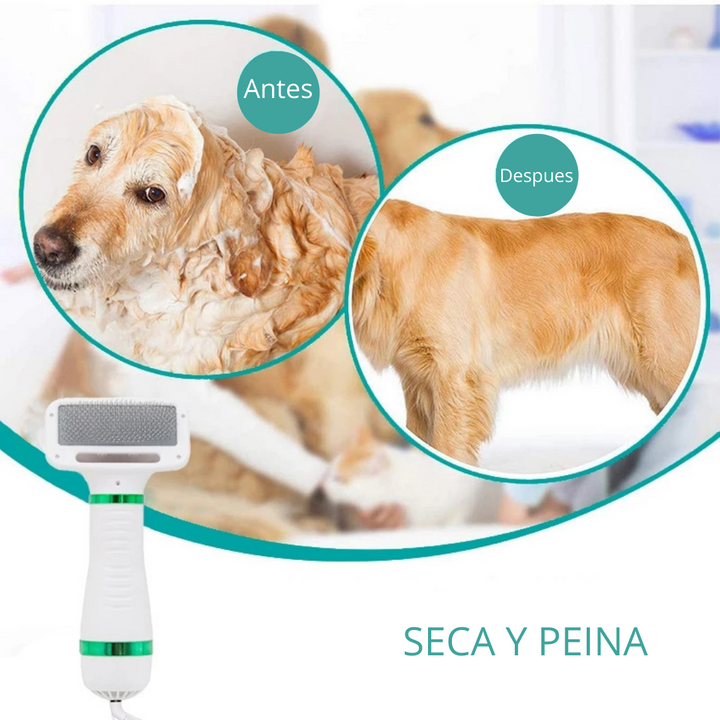 PetDry - Secador Premium para Mascotas